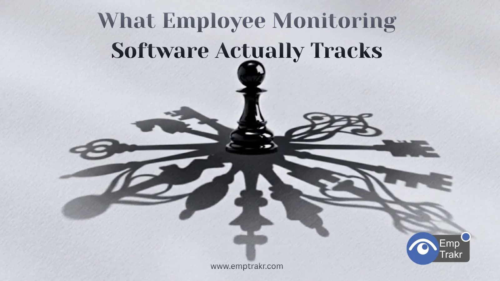 What Data Does Employee Monitoring Software Actually Collect?